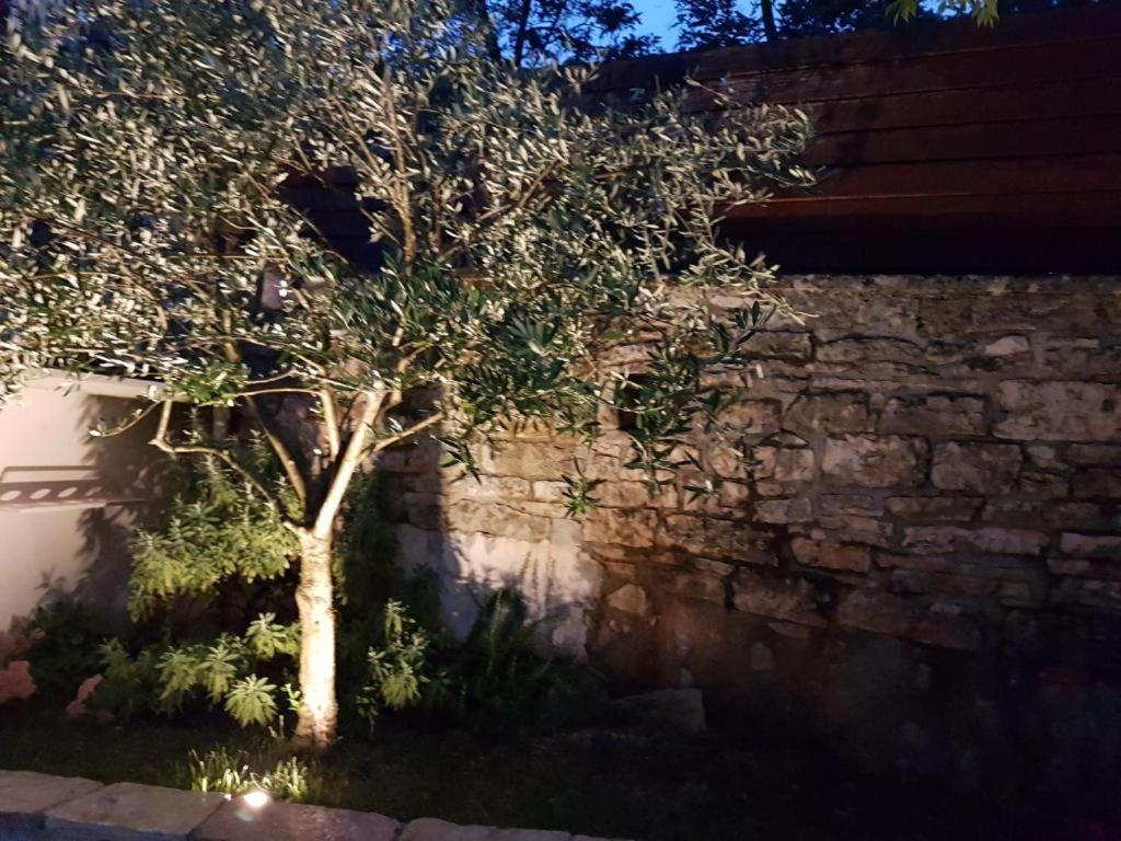 Holiday home Haus Delma Brajkovici (Pazin)