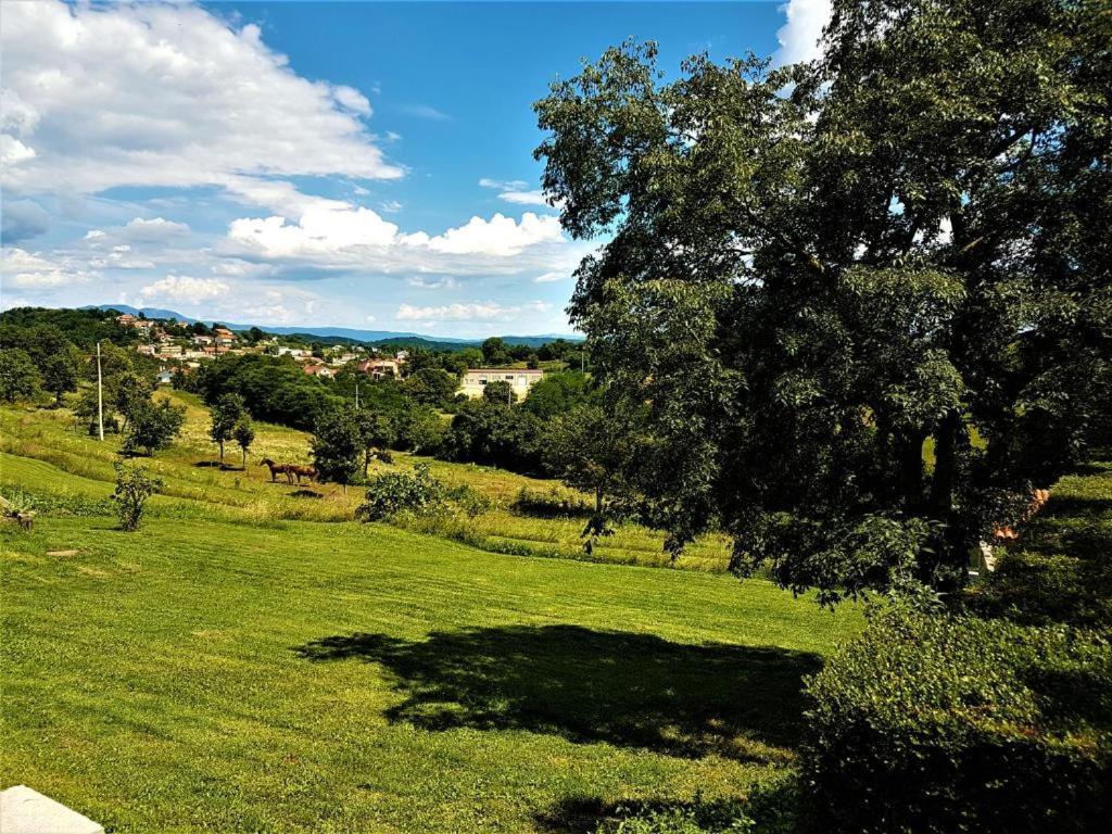 Holiday home Haus Delma Brajkovici (Pazin)